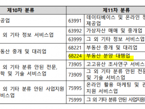 통계청 한국표준산업분류(KISC) 11차 개정 - 부동산분양대행업  세분류 추가